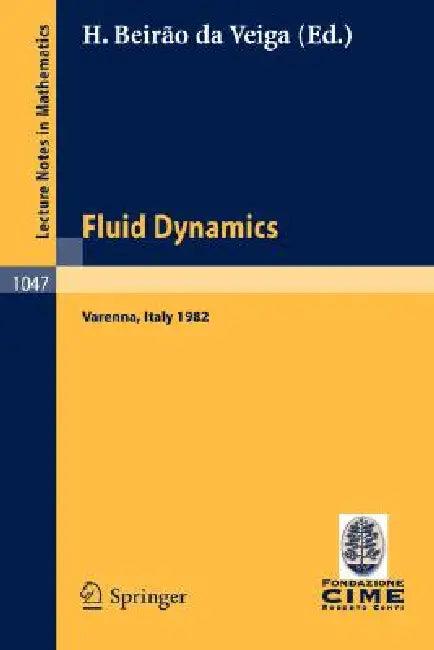 Fluid Dynamics (English, H. Beirao Da Veiga)
