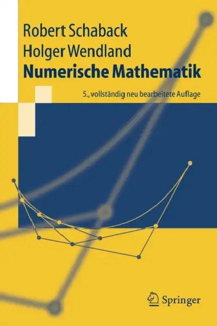Numerische Mathematik (English, Robert Schaback | Holger Wendland)