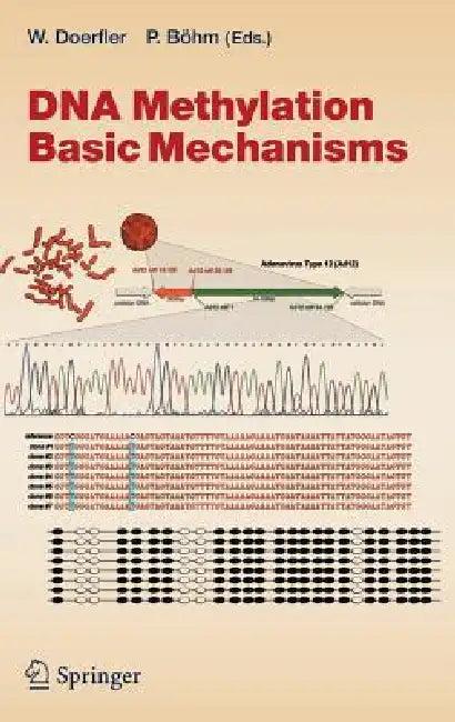 DNA Methylation (English, Walter Doerfler | Petra Böhm)