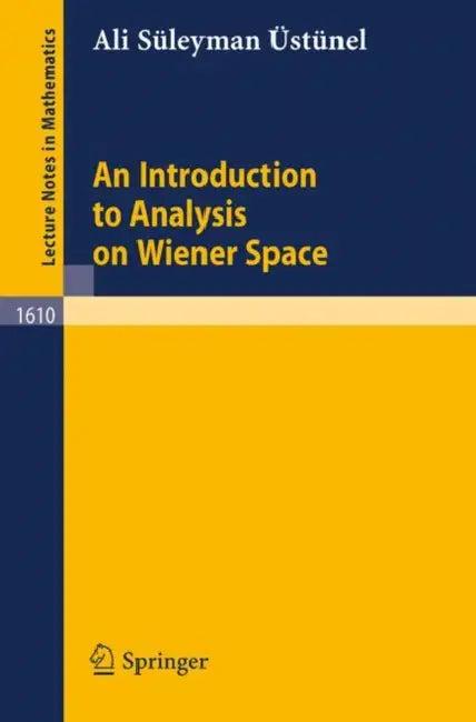 An Introduction to Analysis on Wiener Space (English, Ali S. Üstünel)
