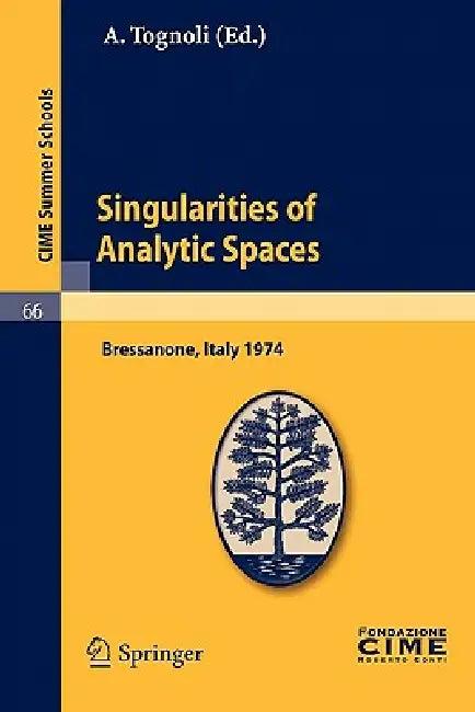 Singularities of Analytic Spaces (English, A. Tognoli)