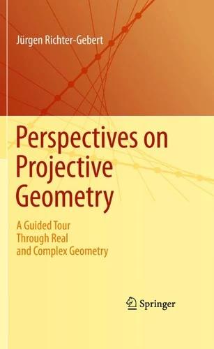 Perspectives on Projective Geometry (English, Jürgen Richter-Gebert)