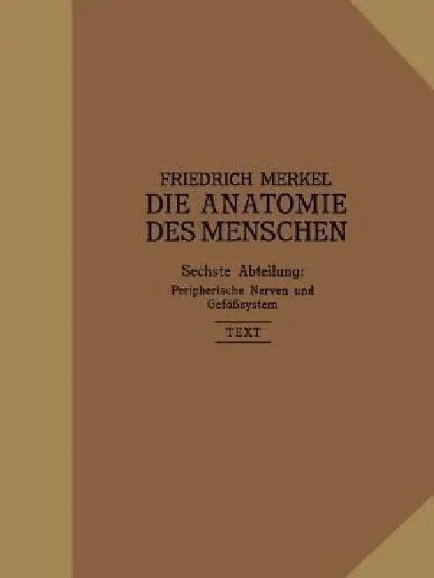 Peripherische Nerven, Gefäßsystem (English, Friedrich Merkel)
