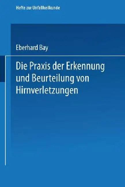 Die PRAXIS Der Erkennung Und Beurteilung Von Hirnverletzungen (English, Eberhard Bay)