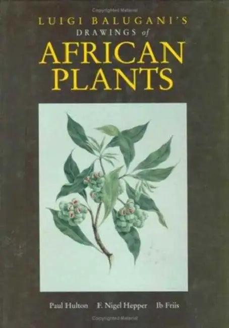 Luigi Balugani's Drawings of African Plants (English, Hulton Paul)