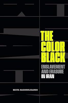 The Color Black: Enslavement and Erasure in Iran by Baghoolizadeh, Beeta | Paperback | Ethnic Studies