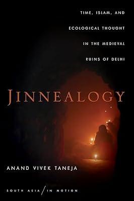 Jinnealogy: Time, Islam, and Ecological Thought in the Medieval Ruins of Delhi (South Asia in Motion) by Taneja, Anand Vivek | Paperback | Social Science