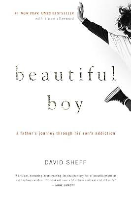 Beautiful Boy: A Father's Journey Through His Son's Addiction by Sheff, David | Paperback | Biography & Autobiography