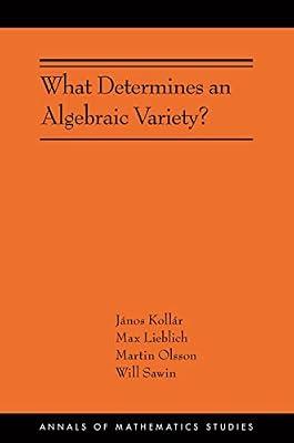 What Determines an Algebraic Variety? by Olsson, Martin; Sawin, Will; Lieblich, Max; Kollár, János | Hardcover | Mathematics