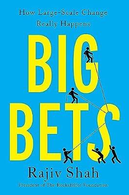 BIG BETS: How Large-Scale Change Really Happens by Shah, Rajiv | Hardcover | Business & Economics