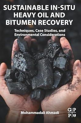 Sustainable In-Situ Heavy Oil and Bitumen Recovery: Techniques, Case Studies, and Environmental Considerations by Ahmadi, Mohammadali | Paperback | Science