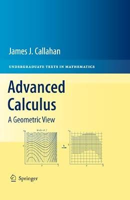 Advanced Calculus: A Geometric View (Undergraduate Texts in Mathematics) by CALLAHAN J J | Hardcover | Calculus & Mathematical Analysis