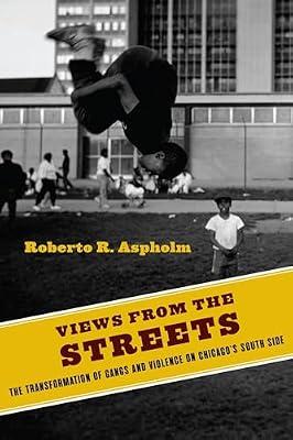 Views from the Streets by Aspholm, Roberto R. | Paperback | Social Science
