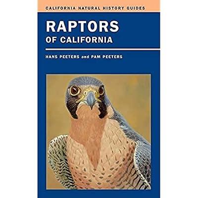 Raptors of California: Volume 82 (California Natural History Guides, 82) by Peeters, Hans J.; Peeters, Pam | Paperback | Nature