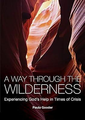 A Way Through the Wilderness: Experiencing God's Help in Times of Crisis by Gooder, Paula | Paperback | Bible Studies: For Individual Or Small Group Study