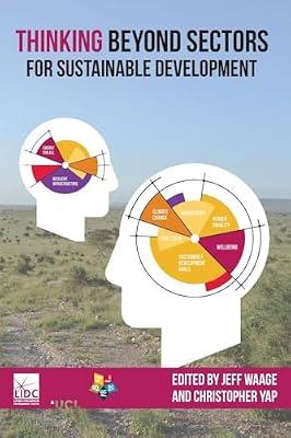 Thinking Beyond Sectors for Sustainable Development | Paperback | Development Economics & Emerging Economies