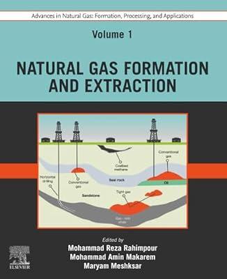Advances in Natural Gas: Formation, Processing and Applications. Volume 1: Natural Gas Formation and Extraction (Formation, Processing and Applications, 1) | Paperback | Chemical Engineering