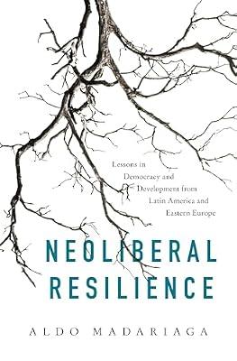 Neoliberal Resilience: Lessons in Democracy and Development from Latin America and Eastern Europe by Madariaga, Aldo | Hardcover | Political Science