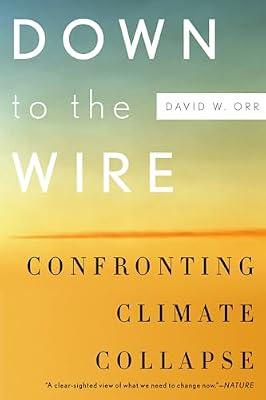 Down to the Wire: Confronting Climate Collapse by David W Orr | Paperback | Climate Change