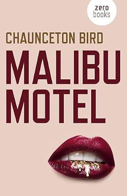 Malibu Motel: A novel about the colossal cost of free cash by Bird, Chaunceton | Paperback | Thriller