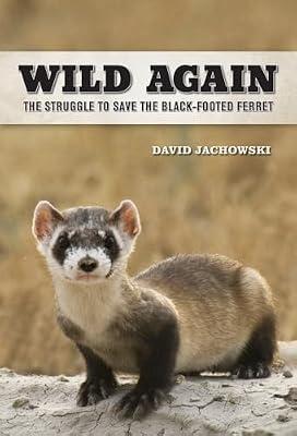 Wild Again: The Struggle to Save the Black-Footed Ferret by Jachowski, David | Hardcover | Nature