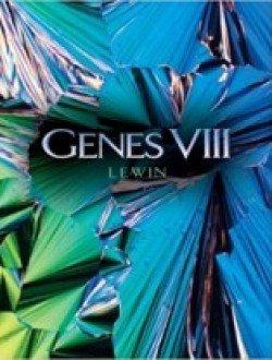 Genes VIII by Lewin, Benjamin | Paperback