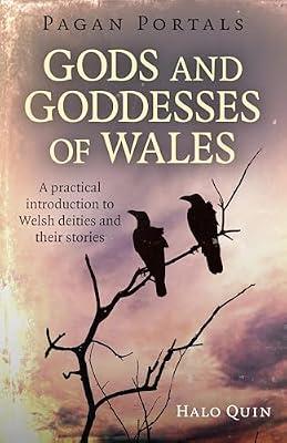 Pagan Portals - Gods and Goddesses of Wales by Quin, Halo | Paperback | Body