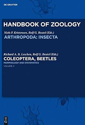 Morphology and Systematics: Phytophaga: 3 (Handbook of Zoology: Arthropoda: Insecta, 3) | Hardcover | Insects (Entomology)