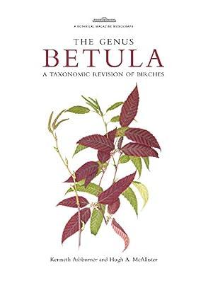 Botanical Magazine Monograph: The Genus Betula: A Taxonomic Revision of Birches by Ashburner, Kenneth; McAllister, Hugh | Hardcover | Botany & Plant Sciences