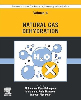 Advances in Natural Gas: Formation, Processing, and Applications. Volume 4: Natural Gas Dehydration: Formation, Processing, and Applications; Natural ... Formation, Processing and Applications, 4) | Paperback | Industrial Chemistry