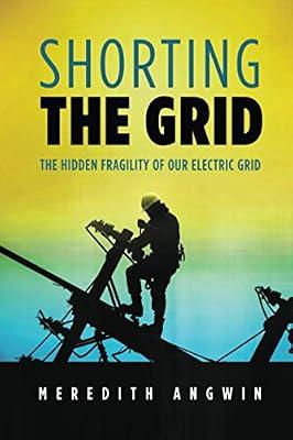 Shorting the Grid: The Hidden Fragility of Our Electric Grid by Angwin, Meredith | Paperback | Power Generation & Distribution