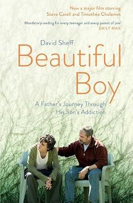 Beautiful Boy by Sheff, David | Paperback | Memoirs