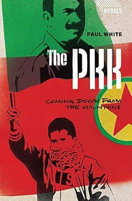 The PKK: Coming Down from the Mountains (Rebels) by White, Paul | Hardcover | Political Science