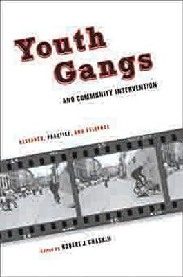 Youth Gangs and Community Intervention: Research, Practice, and Evidence | Paperback | Social Work