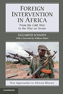 Foreign Intervention in Africa: From the Cold War to the War on Terror: 7 (New Approaches to African History, Series Number 7) by Schmidt, Elizabeth | Paperback | History