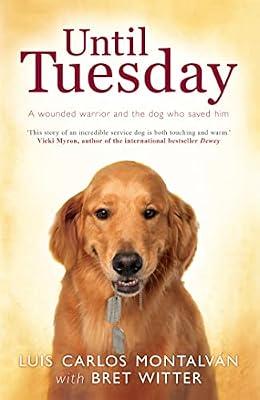 UNTIL TUESDAY by Witter, Bret; Montalvan, Luis Carlos | Paperback | Memoirs