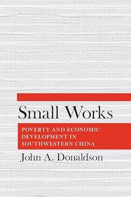 Small Works: Poverty and Economic Development in Southwestern China by Donaldson, John A. | Hardcover | Political Science