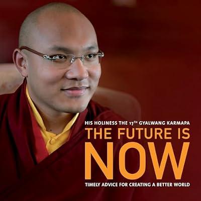 The Future Is Now: Timely Advice for Creating a Better World by Trinley Dorje 17th Gyalw, Ogyen | Paperback | Religion