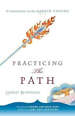 PRACTICING THE PATH by Yangsi Rinpoche | Paperback | Religion: General
