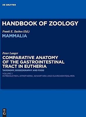 Comparative Anatomy of the Gastrointestinal Tract in Eutheria I: Taxonomy, Biogeography and Food: Afrotheria, Xenarthra and Euarchontoglires by Langer, Peter | Hardcover | Zoology: Invertebrates
