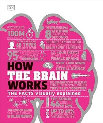 How the Brain Works: The Facts Visually Explained by DK | Hardcover | Neurosciences