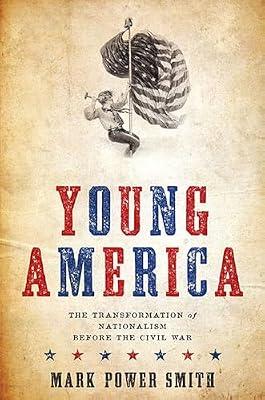 Young America: The Transformation of Nationalism before the Civil War (Nation Divided: Studies in the Civil War Era) by Power Smith, Mark | Hardcover | History