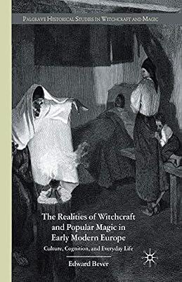 The Realities of Witchcraft and Popular Magic in Early Modern Europe: Culture, Cognition and Everyday Life (Palgrave Historical Studies in Witchcraft and Magic) by Bever, E. | Paperback | History