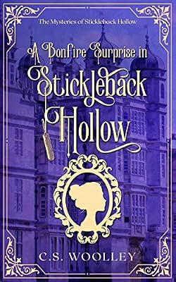 A Bonfire Surprise in Stickleback Hollow: A British Victorian Cozy Mystery: 5 (Mysteries of Stickleback Hollow) by Woolley, C S | Paperback | Historical Mysteries