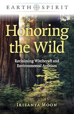 Earth Spirit: Honoring the Wild by Moon, Irisanya | Paperback | Religion