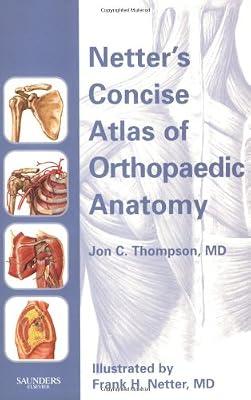 Netter's Concise Atlas of Orthopaedic Anatomy (Netter Basic Science) by Thompson, Jon C. | Paperback | Anatomy