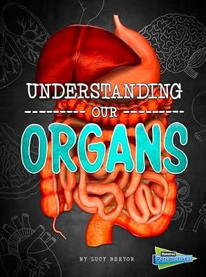 Understanding Our Organs (Raintree Perspectives: Brains, Body, Bones!) by Beevor, Lucy | Library | Juvenile Nonfiction