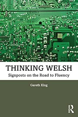 Thinking Welsh: Signposts on the Road to Fluency by King, Gareth | Paperback | Literature: History And Criticism