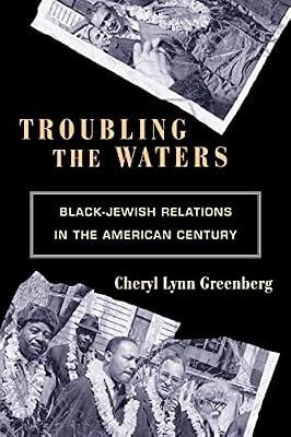 Troubling the Waters: Black-Jewish Relations in the American Century by Greenberg, Cheryl Lynn | Paperback | History
