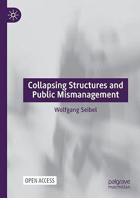 Collapsing Structures and Public Mismanagement by Seibel, Wolfgang | Paperback | Central Government Policies 2